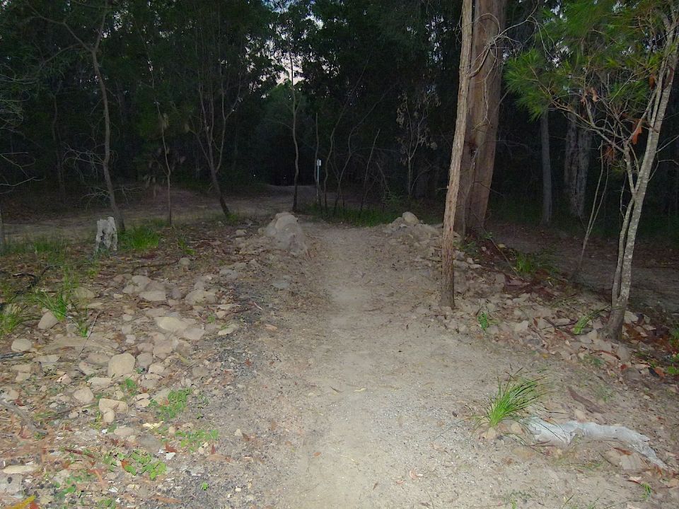 P1160363.jpg